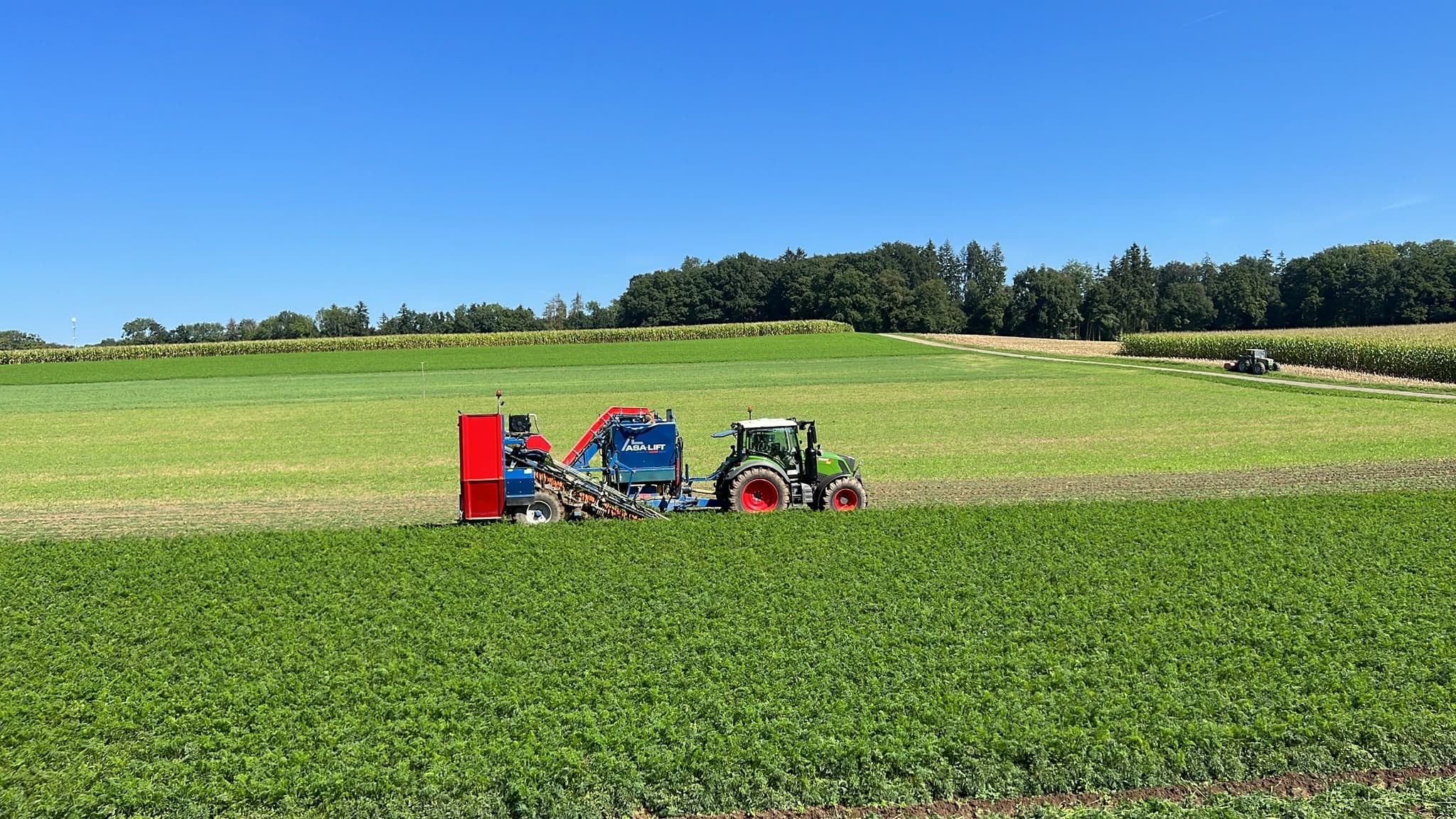 Karottenvollernter bei der Ernte auf einem Feld der Dünner BIO AG