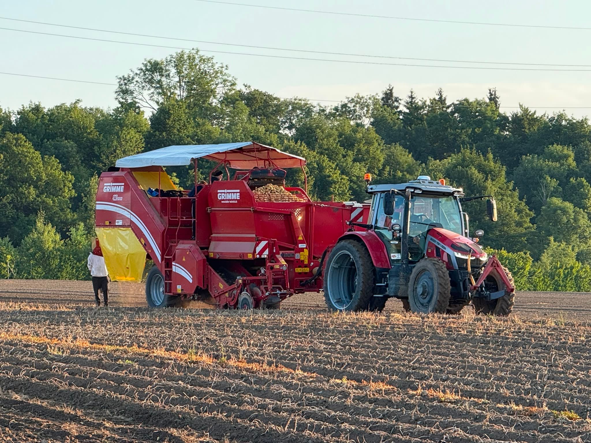 Tractor working in the field in the evening light