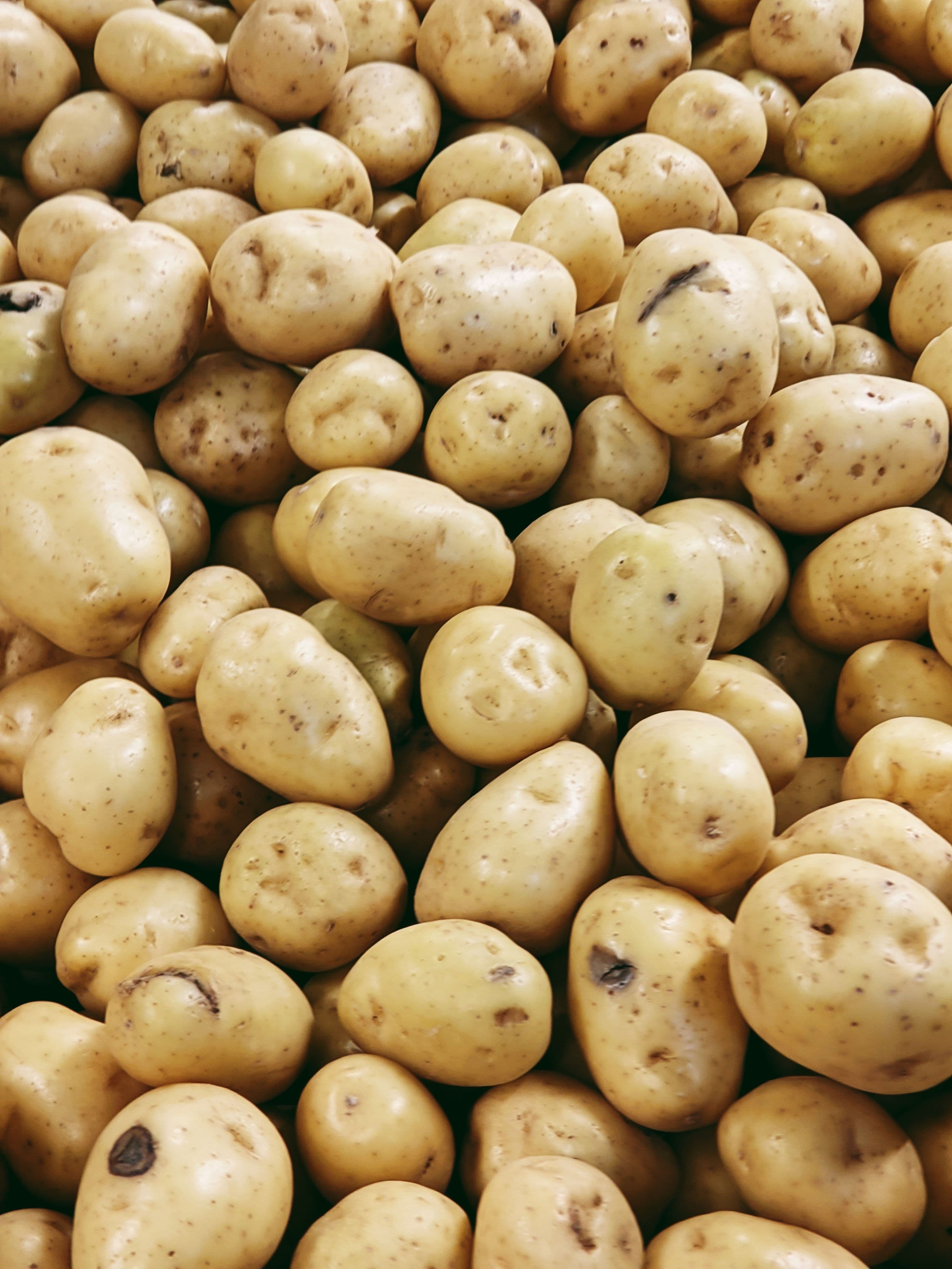 Gewaschene Kartoffeln nach dem Verlesen